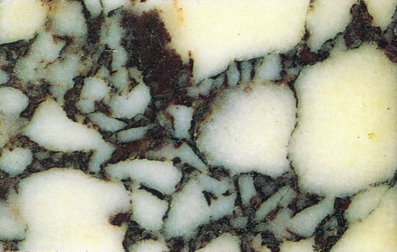 Panel 104 - Figure 1