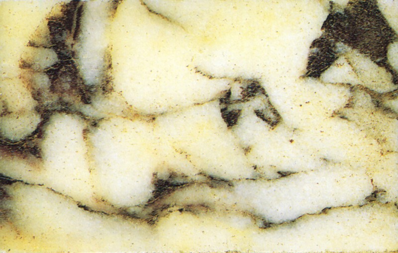Panel 104 - Figure 2