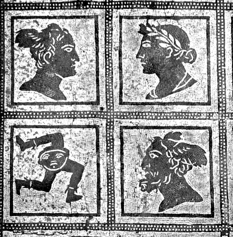 Panel 19b - Figure 2