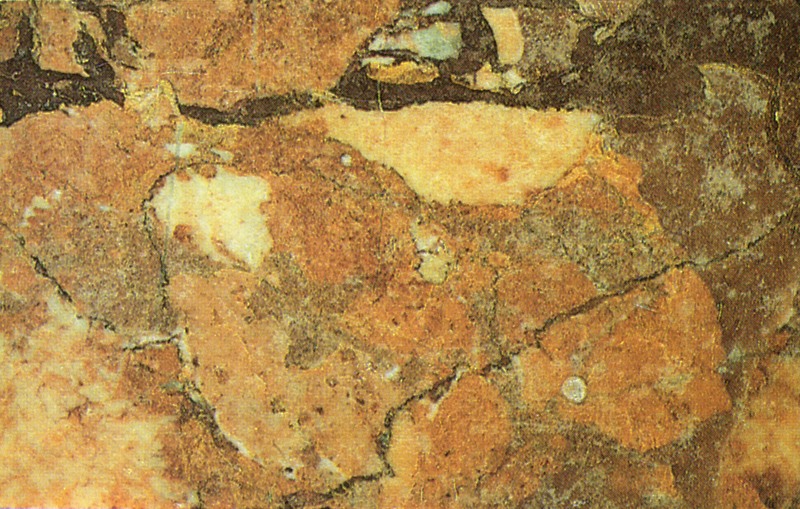 Panel 105 - Figure 1