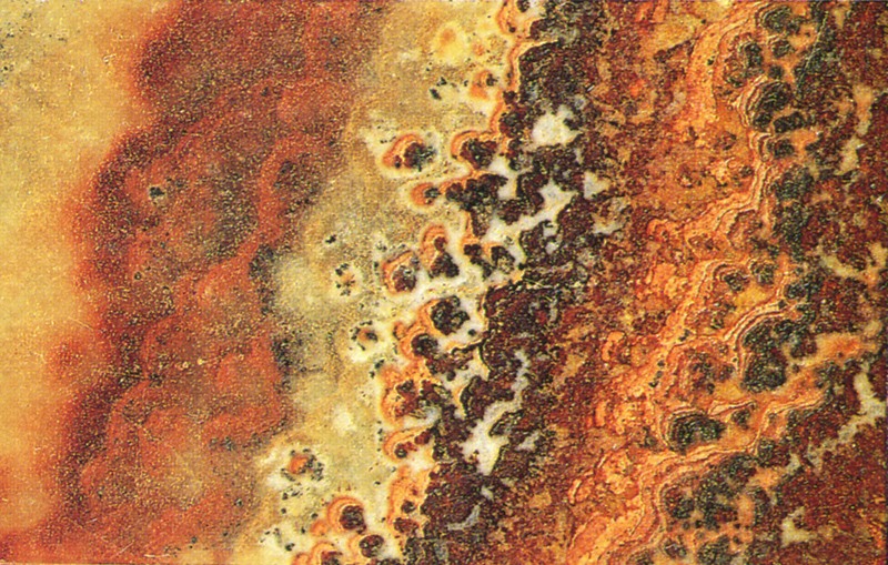 Panel 106 - Figure 2