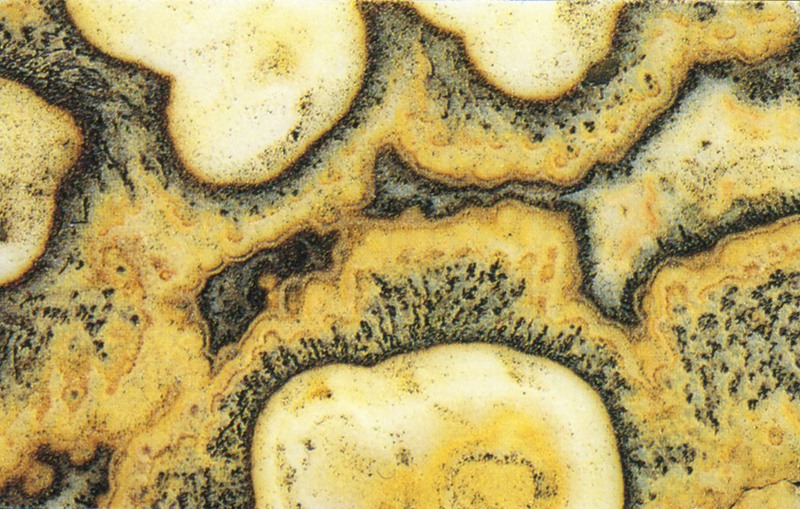 Panel 106 - Figure 3
