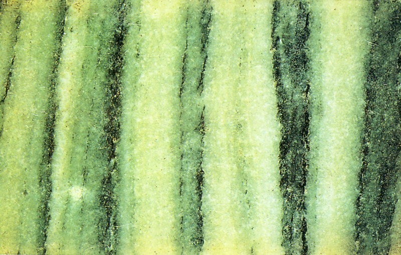 Panel 100 - Figure 1