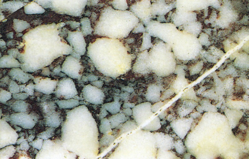 Panel 102 - Figure 3