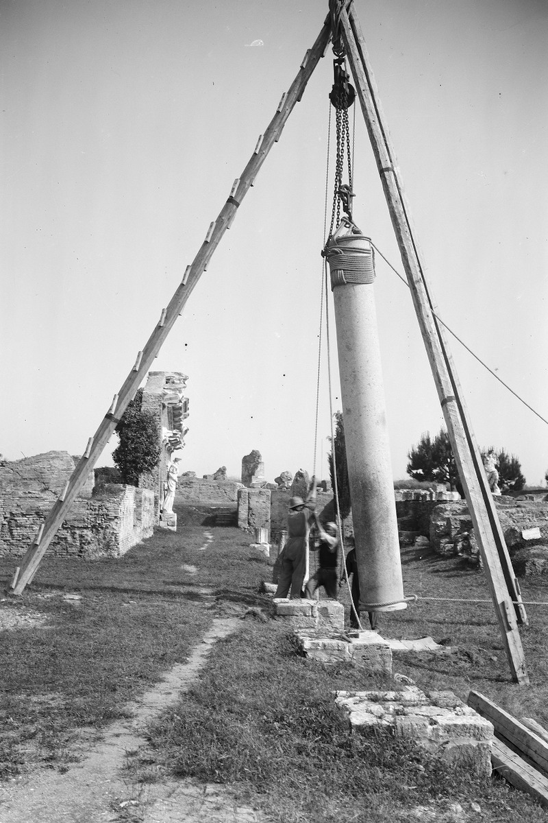 Panel 108 - Figure 2