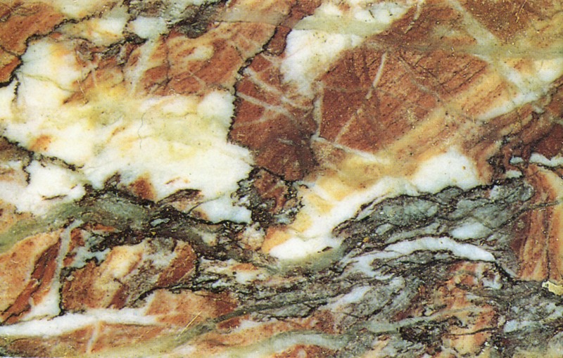 Panel 109 - Figure 3