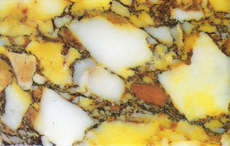 Panel 109 - Figure 4