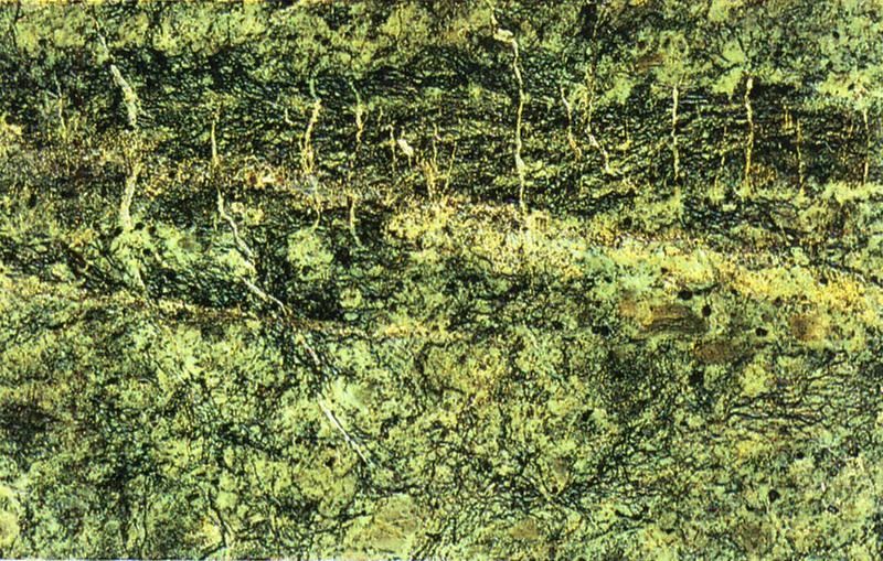 Panel 109 - Figure 5