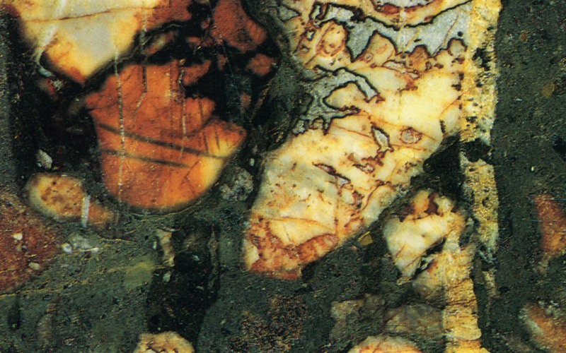 Panel 98 - Figure 1