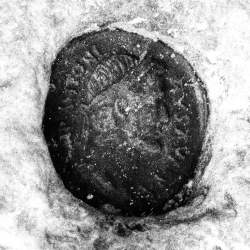 Panel 98 - Figure 4