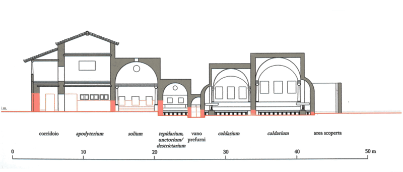 Panel 33 - Figure 1