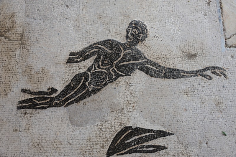 Panel 33 - Figure 2