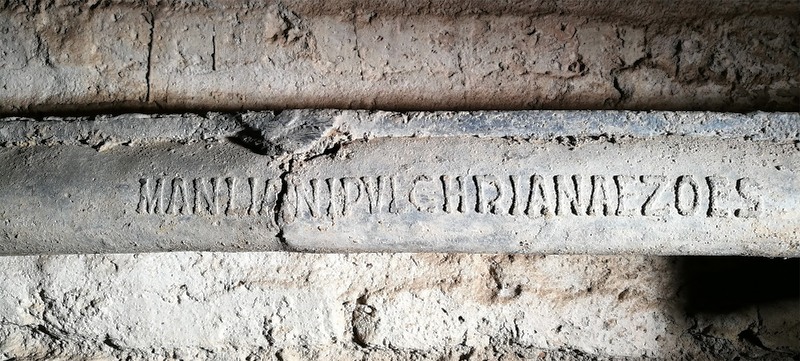 Panel 129 - Figure 2