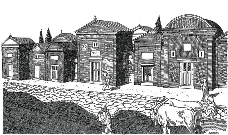 Panel 13 - Figure 1
