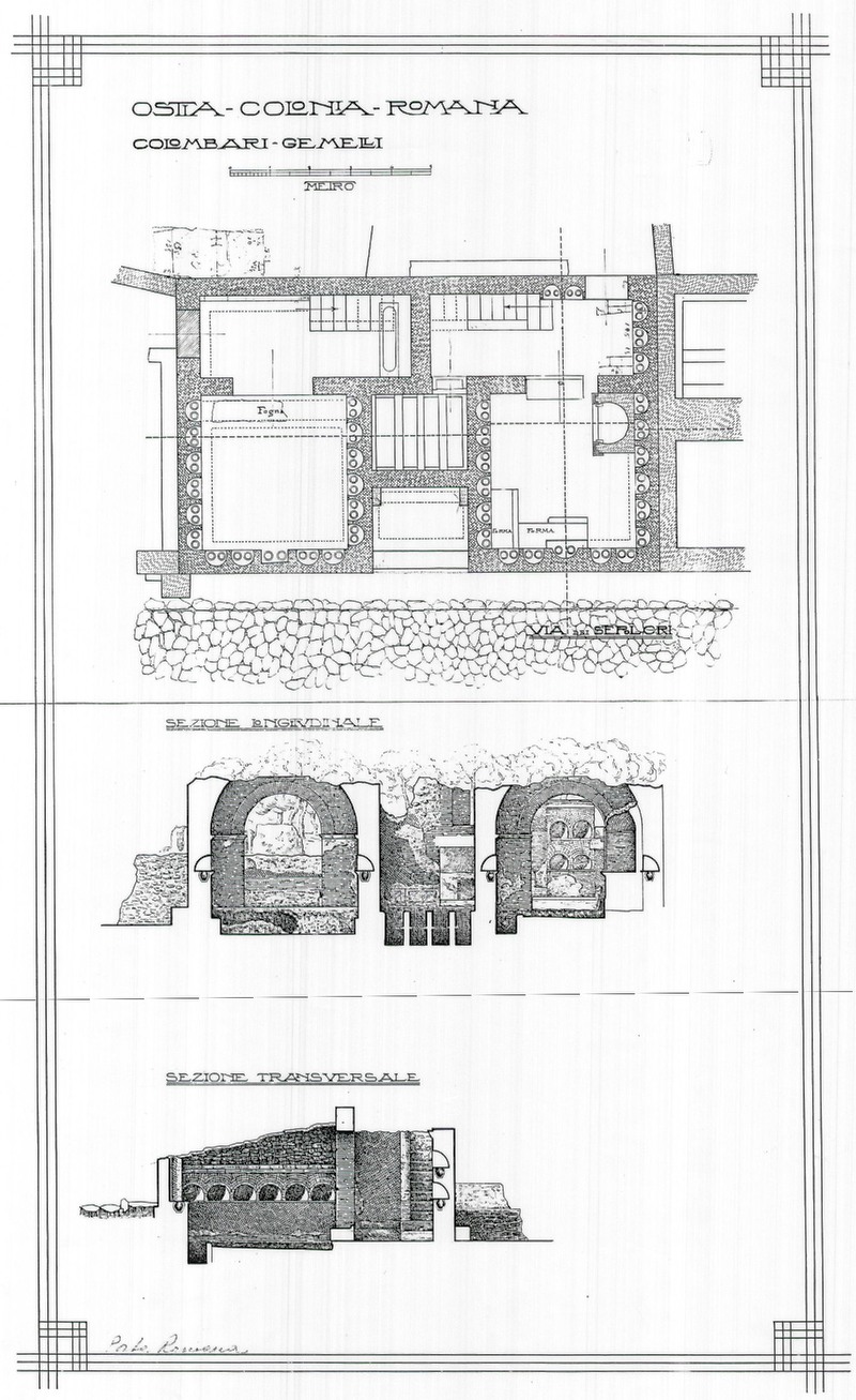 Panel 13 - Figure 2
