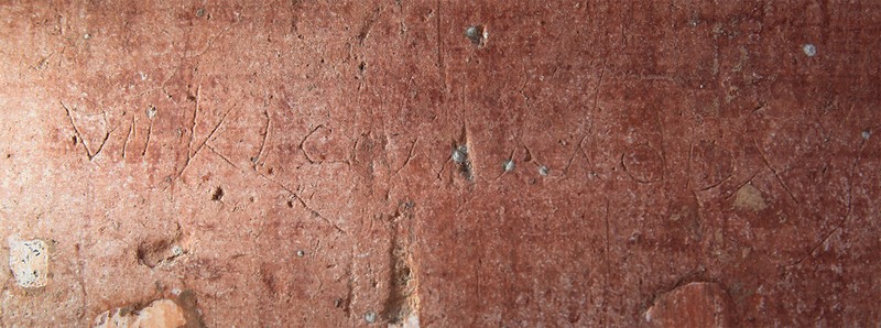 Panel 51 - Figure 3