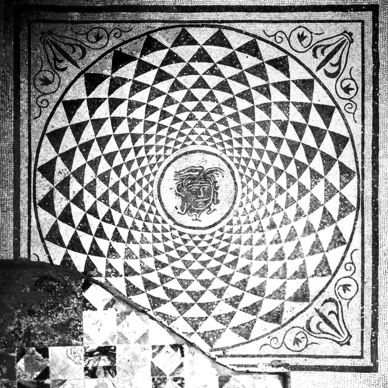 Panel 28 - Figure 1