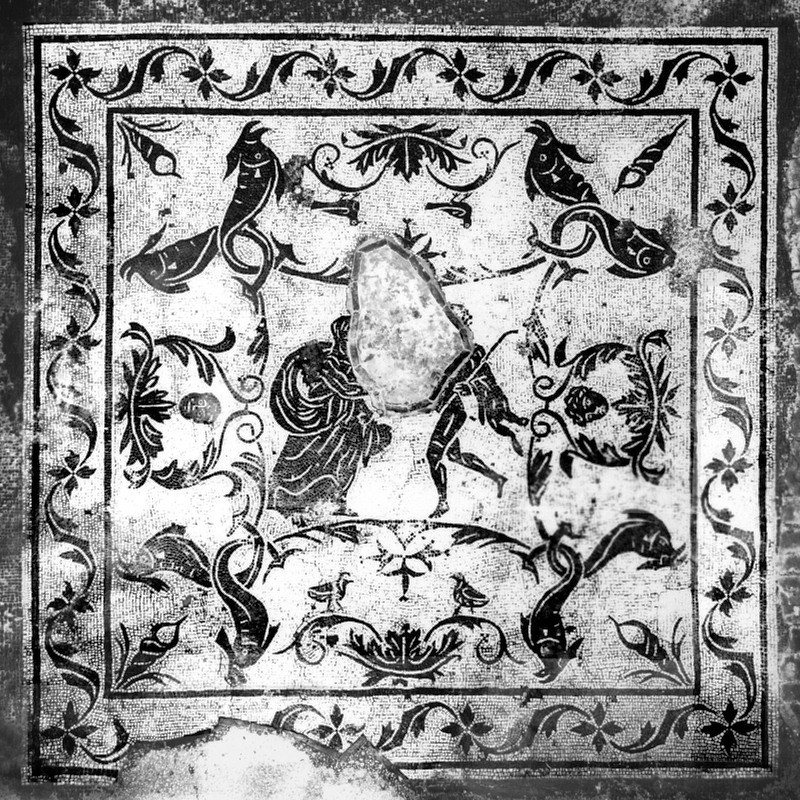 Panel 28 - Figure 2