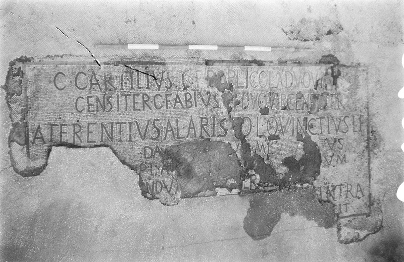 Panel 29 - Figure 3