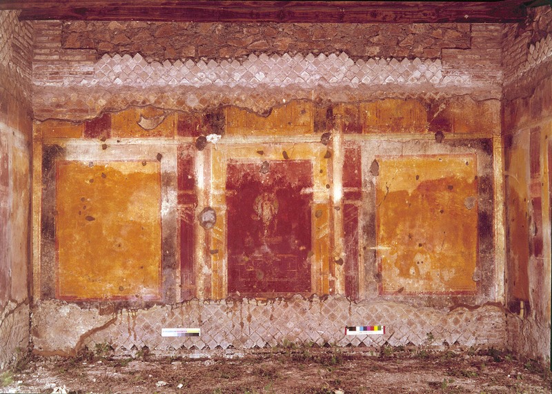 Panel 76 - Figure 5