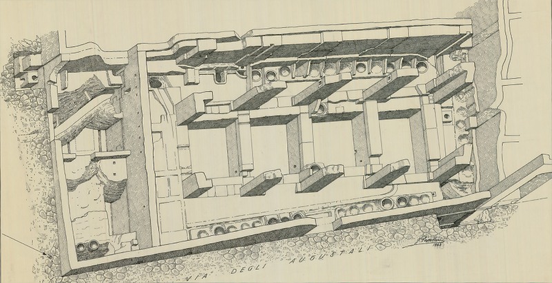 Panel 36 - Figure 1