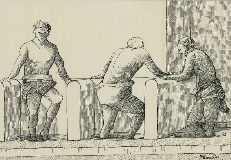 Panel 36 - Figure 2