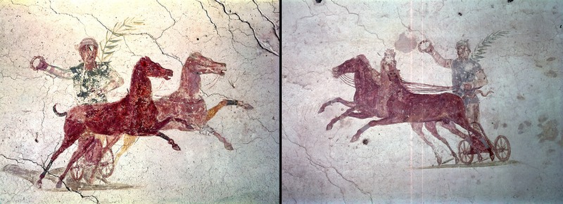 Panel 75 - Figure 2