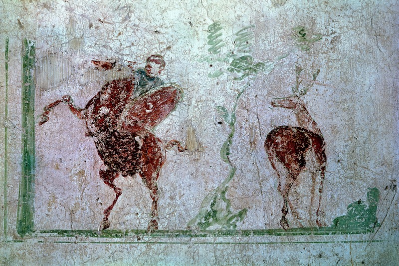 Panel 75 - Figure 4