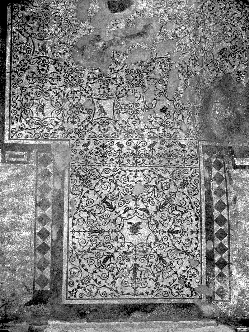 Panel 70 - Figure 2