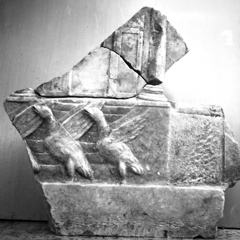 Panel 60 - Figure 5