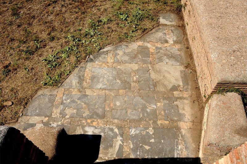 Panel 61 - Figure 2