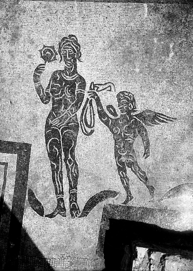 Panel 88 - Figure 2