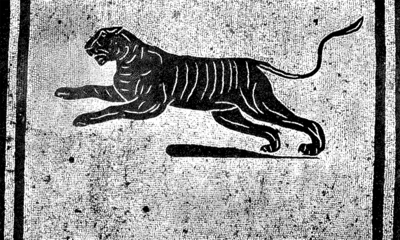 Panel 64 - Figure 3
