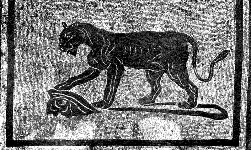 Panel 64 - Figure 4