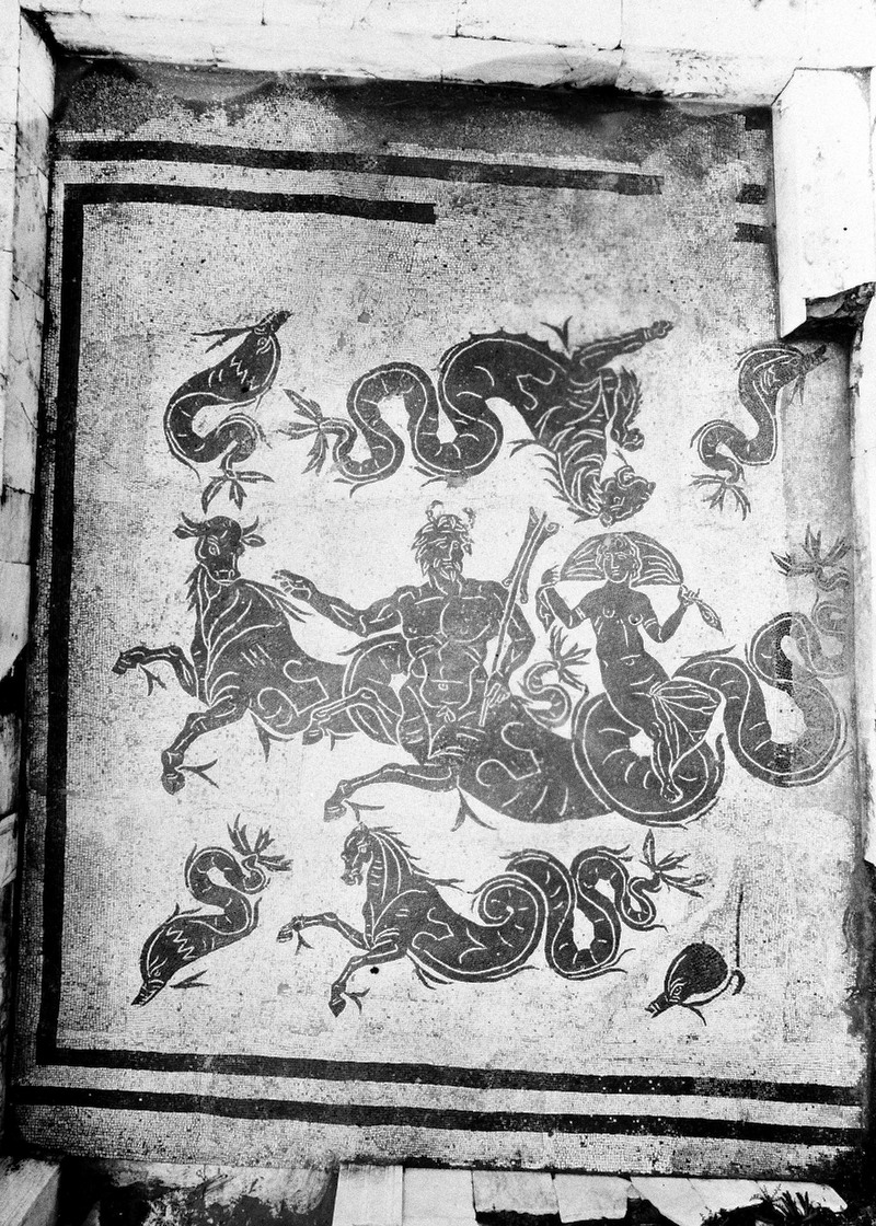 Panel 66 - Figure 2