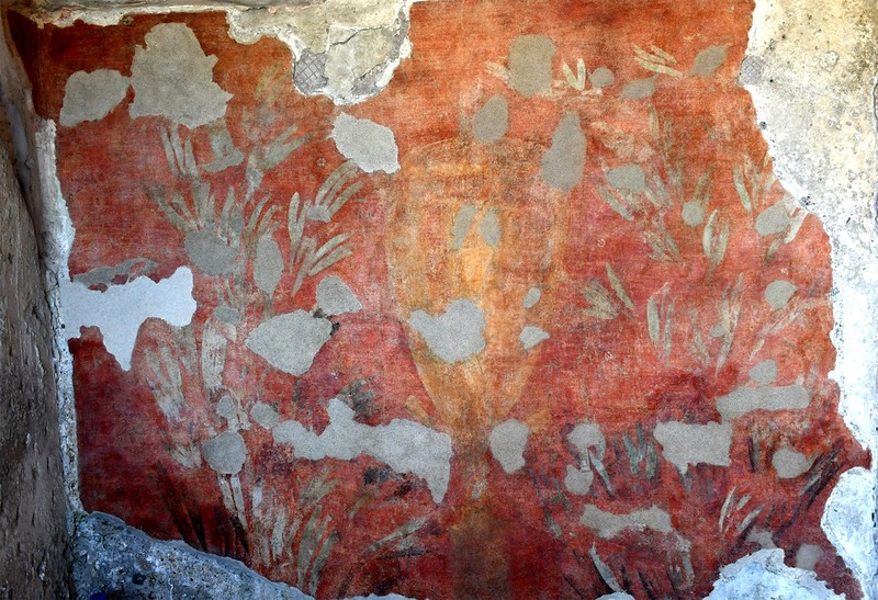 Panel 66 - Figure 3