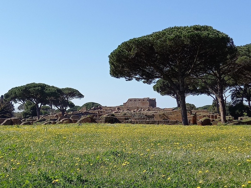 ostia antica prato in fiore