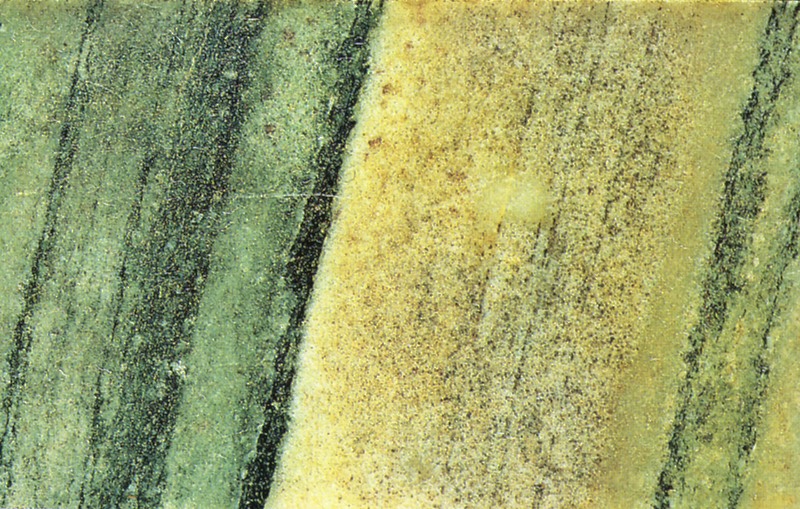 Panel 100 - Figure 2