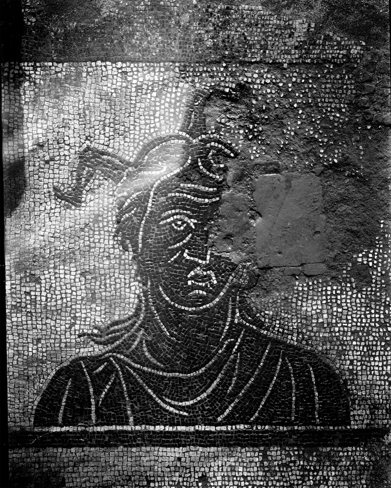 Panel 71 - Figure 1