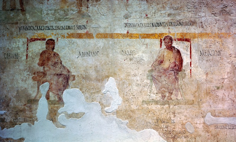 Panel 74 - Figure 2