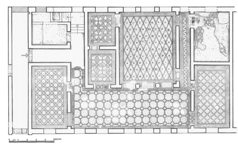 Panel 77 - Figure 1