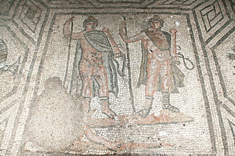 Panel 81 - Figure 3