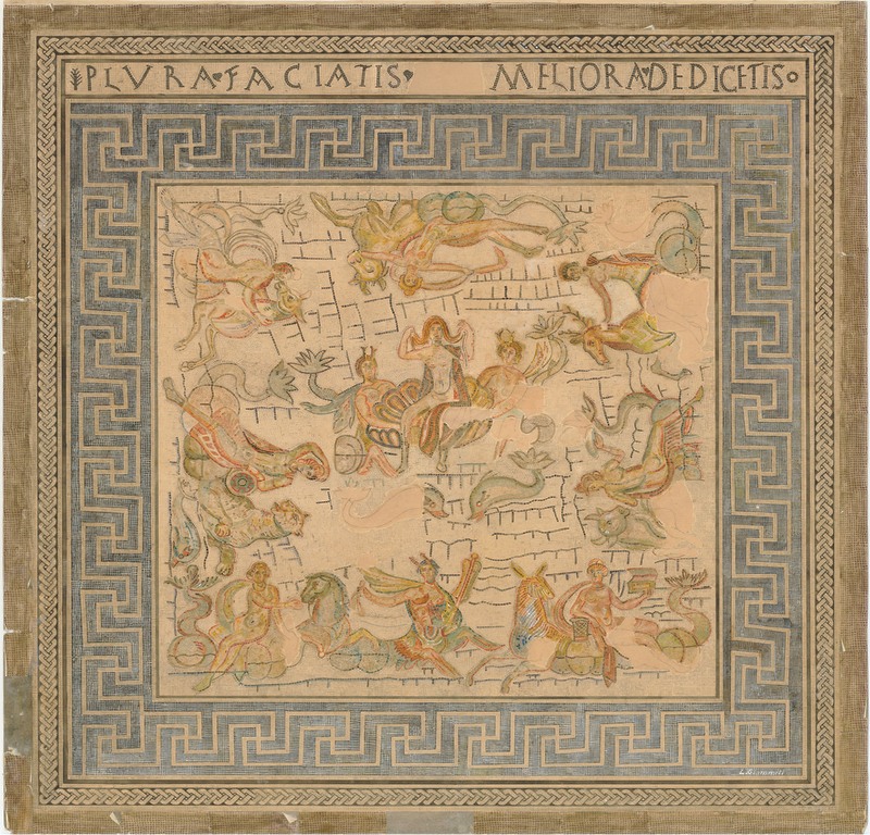Panel 81 - Figure 4