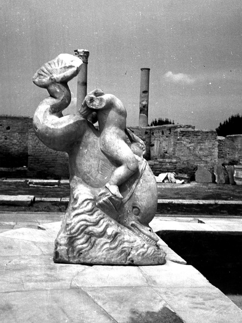 Panel 85 - Figure 2