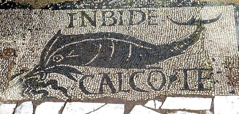 Panel 85 - Figure 3