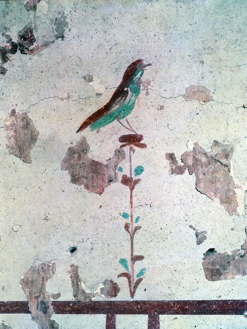 Panel 79 - Figure 5