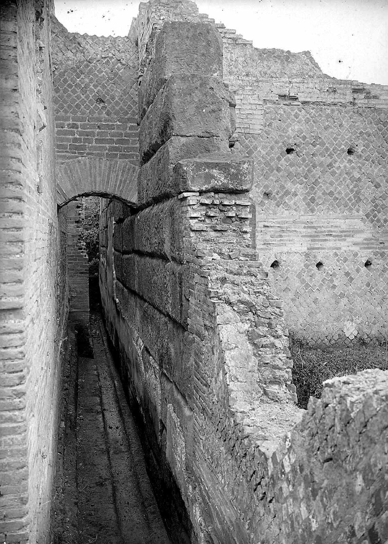 Panel 52 - Figure 2