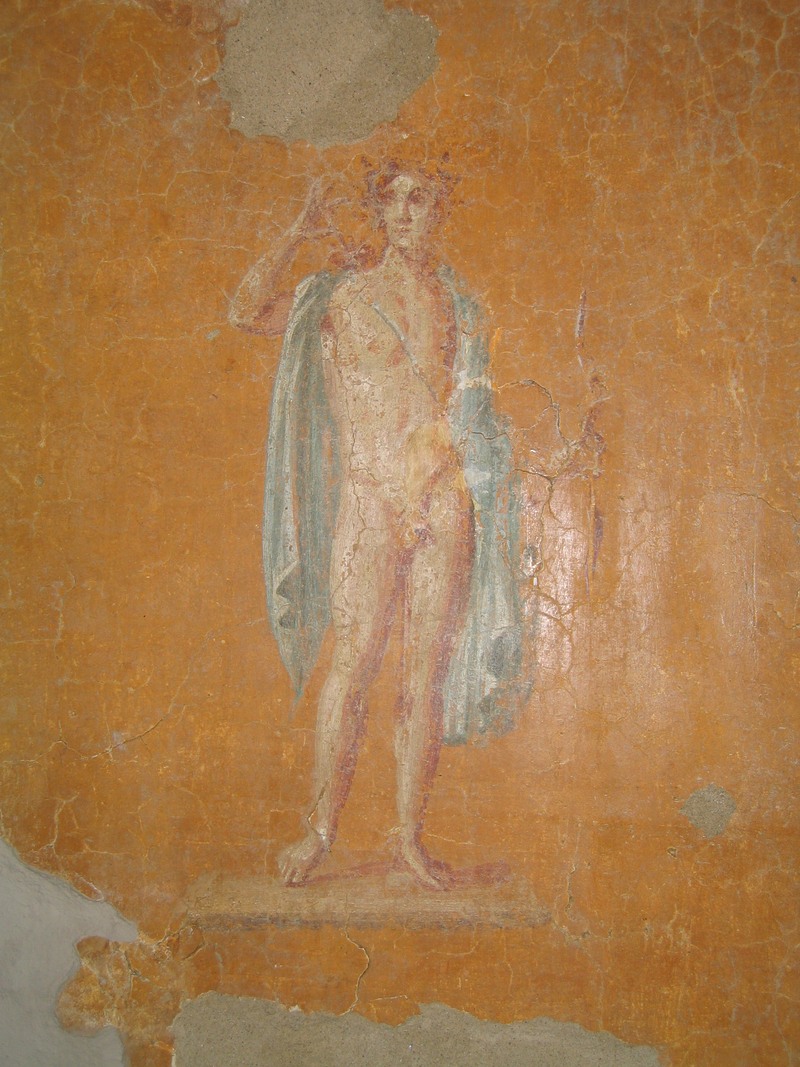 Panel 80 - Figure 3