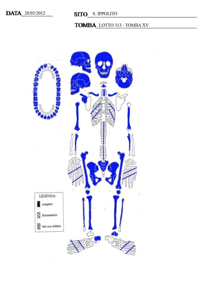 scheda individuo